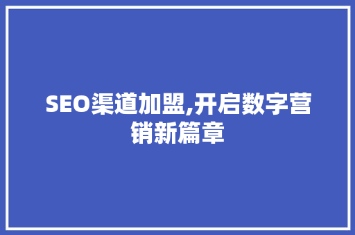 SEO渠道加盟,开启数字营销新篇章