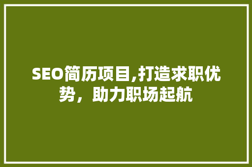 SEO简历项目,打造求职优势，助力职场起航