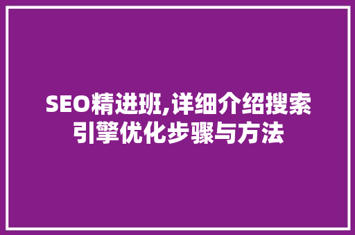 SEO精进班,详细介绍搜索引擎优化步骤与方法