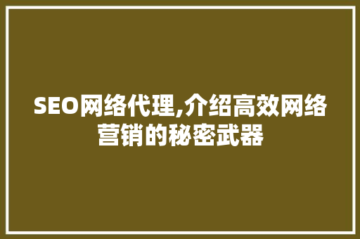 SEO网络代理,介绍高效网络营销的秘密武器