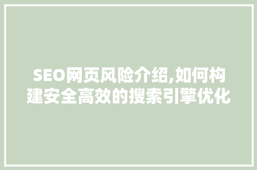 SEO网页风险介绍,如何构建安全高效的搜索引擎优化步骤