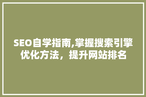 SEO自学指南,掌握搜索引擎优化方法，提升网站排名