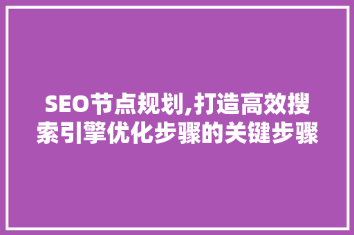 SEO节点规划,打造高效搜索引擎优化步骤的关键步骤