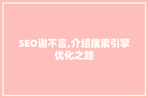 SEO谢不言,介绍搜索引擎优化之路