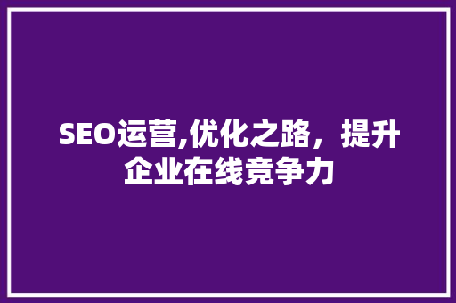 SEO运营,优化之路，提升企业在线竞争力