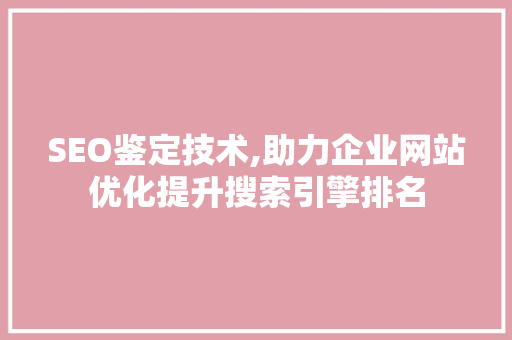 SEO鉴定技术,助力企业网站优化提升搜索引擎排名