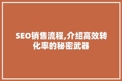 SEO销售流程,介绍高效转化率的秘密武器