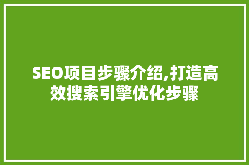 SEO项目步骤介绍,打造高效搜索引擎优化步骤