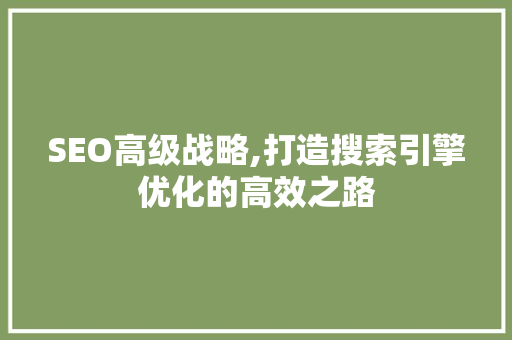 SEO高级战略,打造搜索引擎优化的高效之路