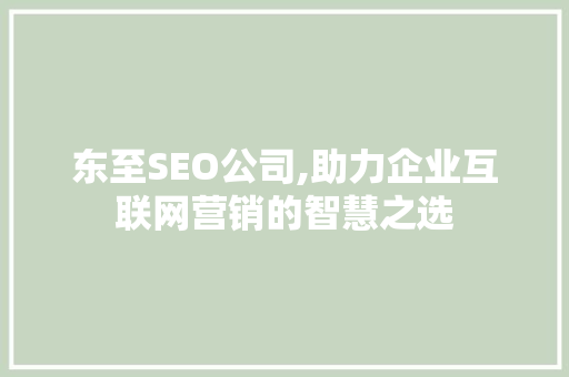 东至SEO公司,助力企业互联网营销的智慧之选