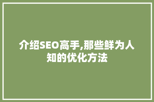 介绍SEO高手,那些鲜为人知的优化方法