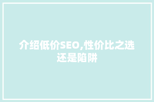 介绍低价SEO,性价比之选还是陷阱
