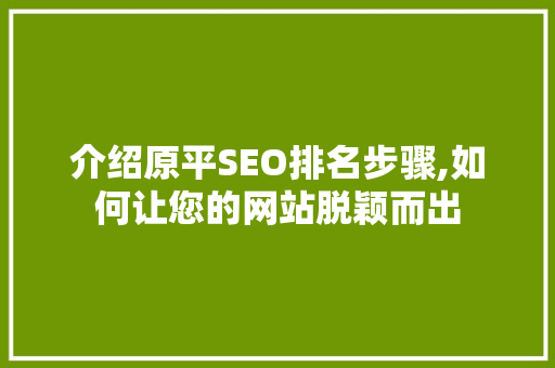 介绍原平SEO排名步骤,如何让您的网站脱颖而出