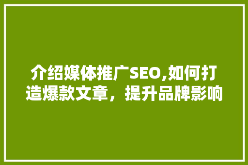 介绍媒体推广SEO,如何打造爆款文章，提升品牌影响力