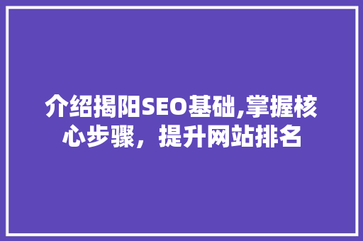 介绍揭阳SEO基础,掌握核心步骤，提升网站排名