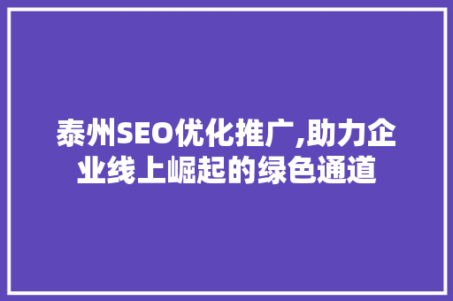 泰州SEO优化推广,助力企业线上崛起的绿色通道