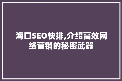 海口SEO快排,介绍高效网络营销的秘密武器