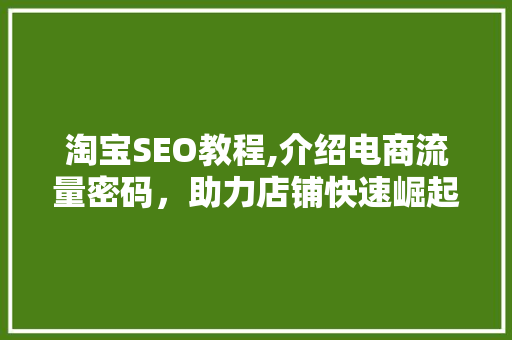 淘宝SEO教程,介绍电商流量密码，助力店铺快速崛起