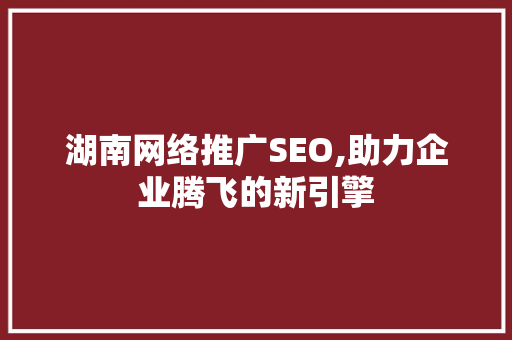 湖南网络推广SEO,助力企业腾飞的新引擎