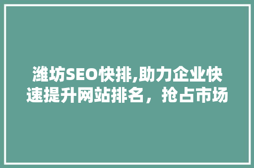 潍坊SEO快排,助力企业快速提升网站排名，抢占市场先机