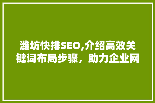 潍坊快排SEO,介绍高效关键词布局步骤，助力企业网站优化