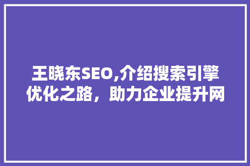 王晓东SEO,介绍搜索引擎优化之路，助力企业提升网络竞争力