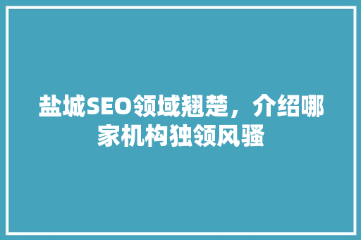盐城SEO领域翘楚，介绍哪家机构独领风骚