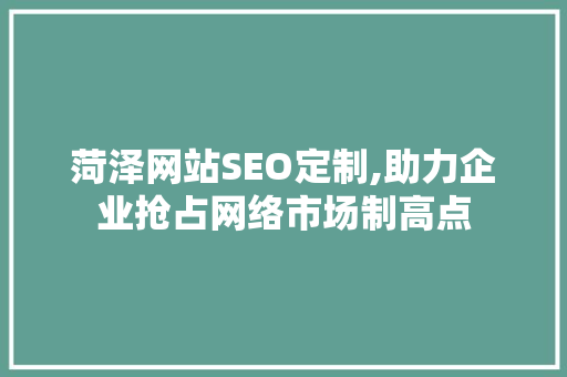 菏泽网站SEO定制,助力企业抢占网络市场制高点
