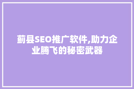 蓟县SEO推广软件,助力企业腾飞的秘密武器