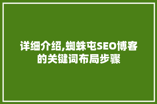 详细介绍,蜘蛛屯SEO博客的关键词布局步骤