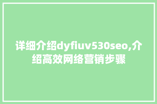 详细介绍dyfiuv530seo,介绍高效网络营销步骤