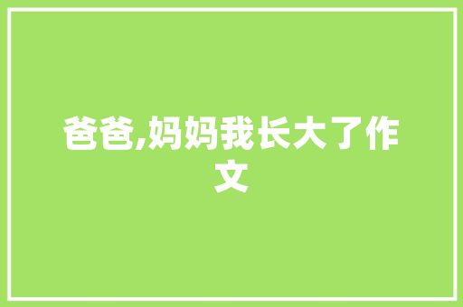 谷歌SEO标题工具详细介绍,优化步骤与实战方法
