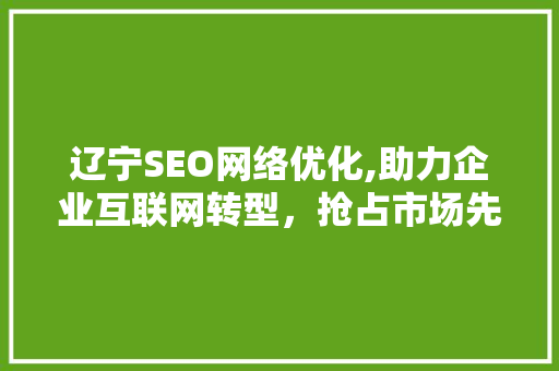 辽宁SEO网络优化,助力企业互联网转型，抢占市场先机