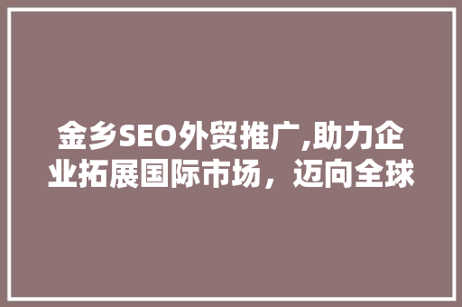 金乡SEO外贸推广,助力企业拓展国际市场，迈向全球舞台