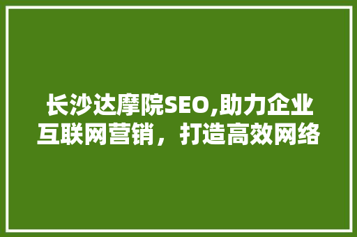 长沙达摩院SEO,助力企业互联网营销，打造高效网络品牌形象