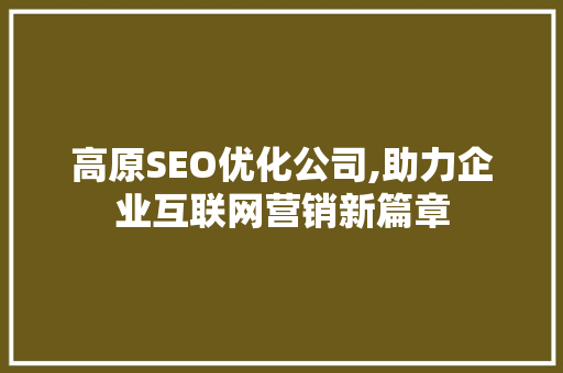 高原SEO优化公司,助力企业互联网营销新篇章