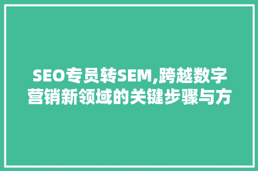 SEO专员转SEM,跨越数字营销新领域的关键步骤与方法