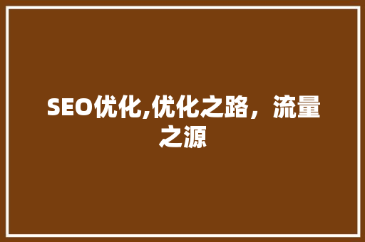 SEO优化,优化之路，流量之源