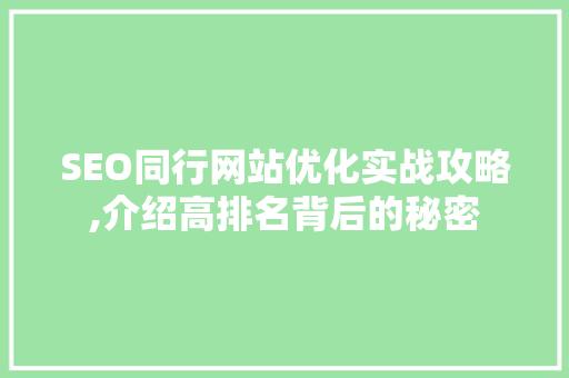 SEO同行网站优化实战攻略,介绍高排名背后的秘密