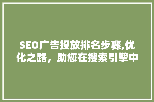 SEO广告投放排名步骤,优化之路，助您在搜索引擎中脱颖而出