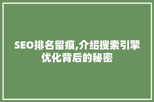 SEO排名留痕,介绍搜索引擎优化背后的秘密
