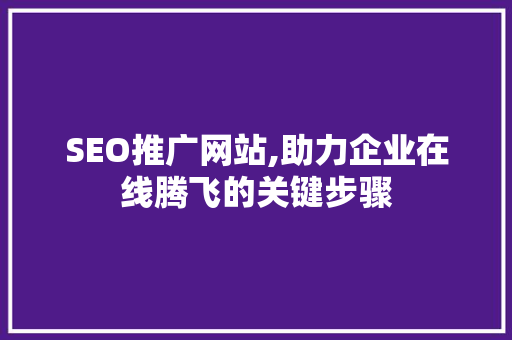 SEO推广网站,助力企业在线腾飞的关键步骤