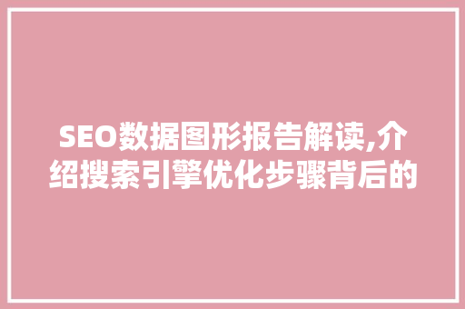 SEO数据图形报告解读,介绍搜索引擎优化步骤背后的秘密  第1张