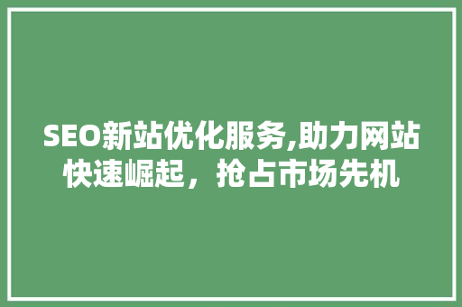 SEO新站优化服务,助力网站快速崛起，抢占市场先机
