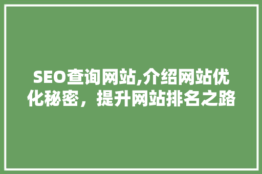 SEO查询网站,介绍网站优化秘密，提升网站排名之路