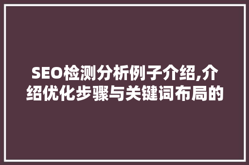 SEO检测分析例子介绍,介绍优化步骤与关键词布局的艺术