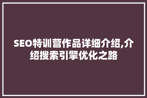 SEO特训营作品详细介绍,介绍搜索引擎优化之路