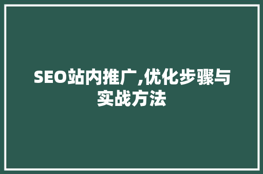 SEO站内推广,优化步骤与实战方法