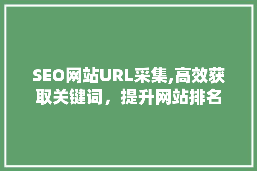 SEO网站URL采集,高效获取关键词，提升网站排名