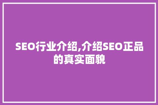 SEO行业介绍,介绍SEO正品的真实面貌